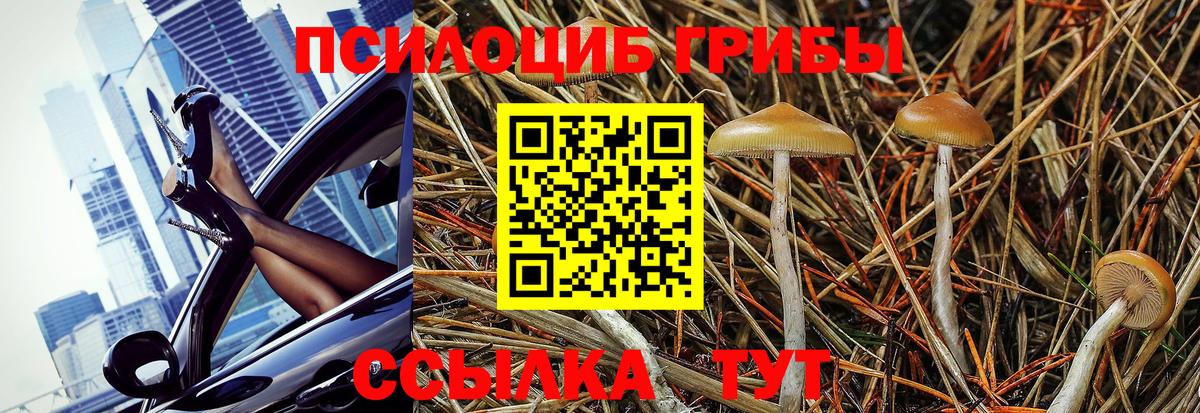 Белорецк  Псилоцибиновые грибы Cubensis  Вход с VPN 