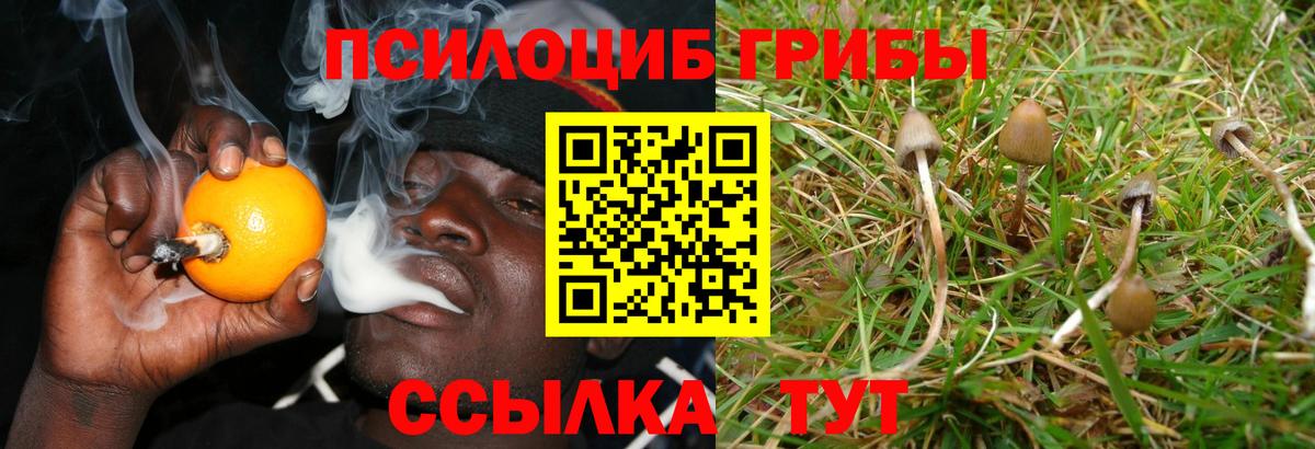 Псилоцибиновые грибы Magic Shrooms Белорецк